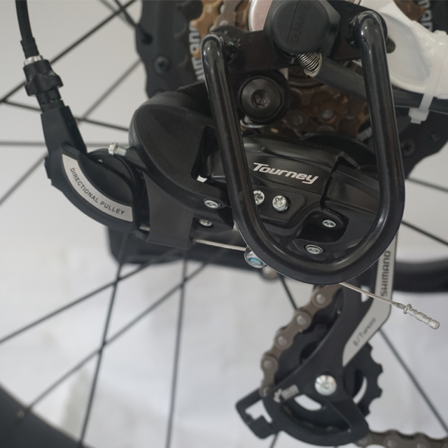 breeze fat tire electric bike